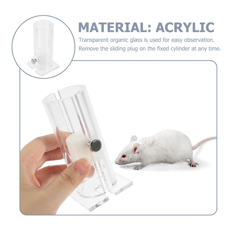 حامل ماوس شفاف مع أنبوب ثابت ، زجاج عضوي ، جهاز تحديد الفئران ، قفص الفئران ، الحيوانات