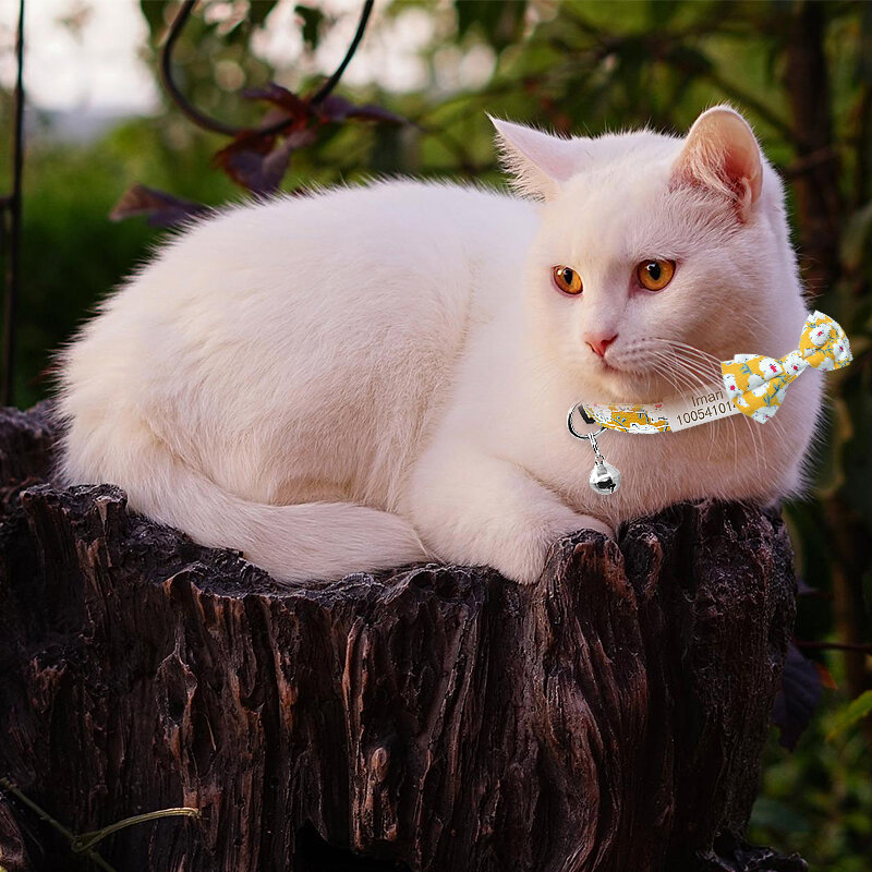 شخصية اسم العلامة القط طوق جرس لطيف ربطة القوس فيونكة القط طوق مخصص محفورة لوحة الانفصال Bowknot القط طوق قلادة