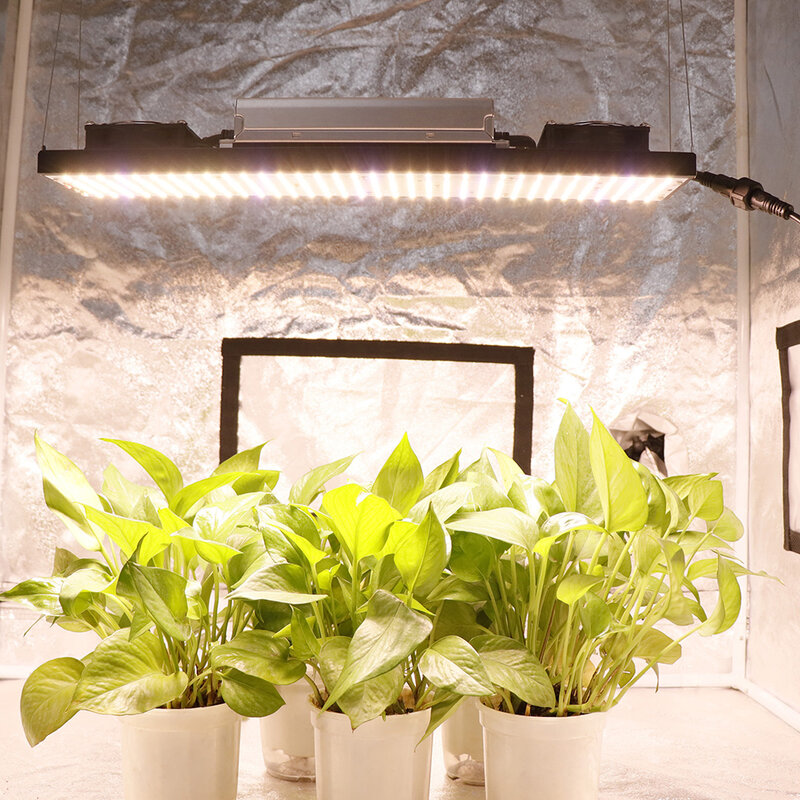 سام سونغ LM301H V5 كوانتوم تك LED تنمو ضوء 240 واط 480 واط 720 واط الطيف الكامل فيتو مصباح للنباتات الداخلية الزراعة المائية الخضار زهرة