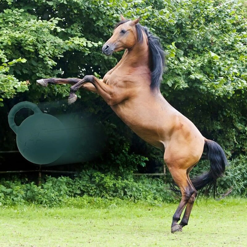 الخيول لعب الكرة المضادة للانفجار الكلاب الحصان نطاط كرة القدم مع