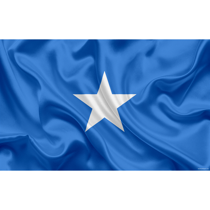 عرف الصومال العلم 90X150cm معلقة البوليستر العلم الوطني الصومالي لحدث كبير في الهواء الطلق النشاط الوطني