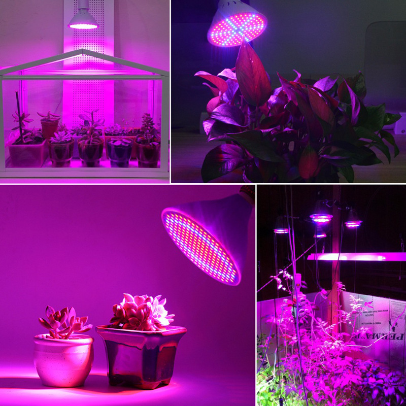 زراعة أضواء للزراعة الكاملة تنمو ضوء لمبة لزراعة النباتات في الأماكن المغلقة مصباح لزهور العصارة الدفيئة النباتية