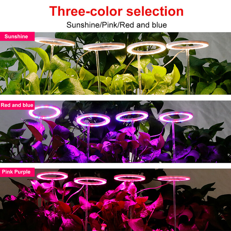 DC5V USB الملاك الدائري أشعة الشمس تنمو ضوء Phytolamp للنباتات Led الطيف الكامل مصباح داخلي شتلات النبات المنزل زهرة Succulet