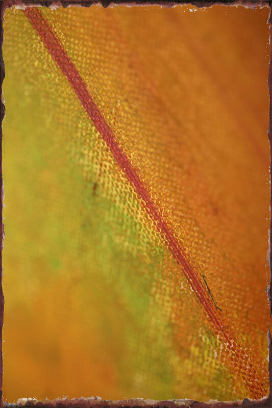 الملونة الطلاء في قماش Vintage علامة معدنية تين تسجيل القصدير لوحات جدار ديكور غرفة الديكور الرجعية للمنزل نادي رجل كهف مقهى #2