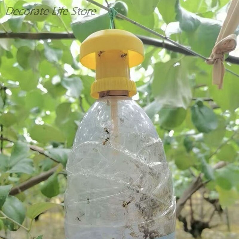 1 قطعة فخ الذباب الفاكهة القاتل البلاستيك فخ الفاكهة جهاز صيد الحشرات مكافحة الحشرات الحشرات جودة عالية