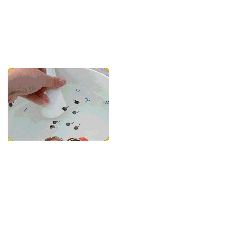 السحرية المياه اللوحة المياه رسم ألعاب مونتيسوري قابلة لإعادة الاستخدام تلوين كتاب ماجيك المياه دفتر رسم لعبة التعليم المبكر الحسية