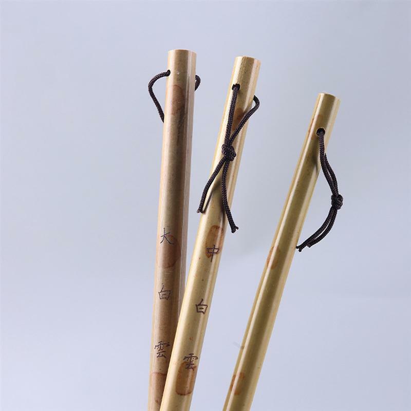 فرشاة الخط الكتابة الصينية أقلام الحبر المائية فرش القلم الخط التعلم مجموعة رسم شعر الذئب
