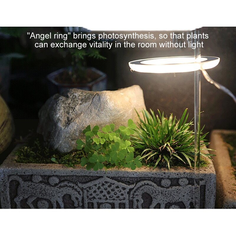 حلقة تنمو ضوء DC5V USB Phytolamp للنباتات Led مصباح الطيف الكامل للشتلات داخلي المنزل زهرة Succulet