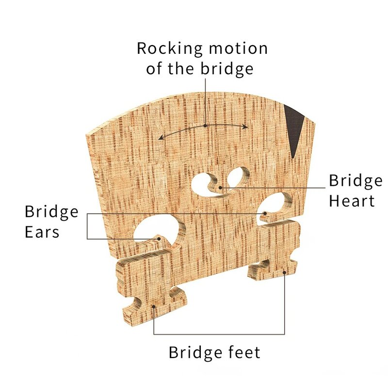 حدد الكمان جسر غير مشقوقة شبه الانتهاء جسر الهواء المجففة AA الصف القيقب مع E الأبنوس إدراج 4/4 حجم الكمان جسر