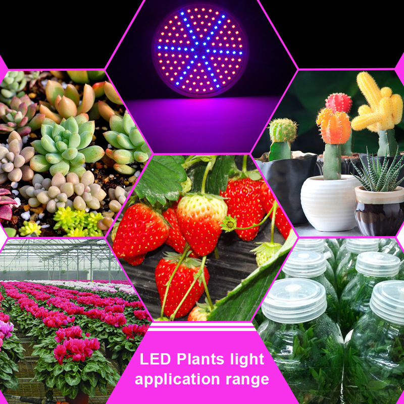 زراعة أضواء للزراعة الكاملة تنمو ضوء لمبة لزراعة النباتات في الأماكن المغلقة مصباح لزهور العصارة الدفيئة النباتية