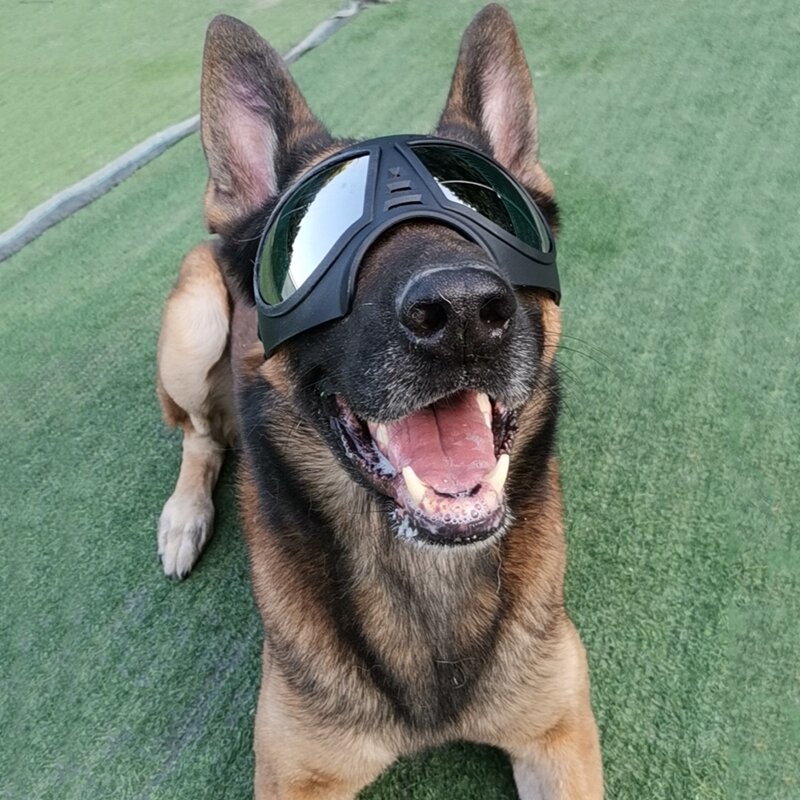 Legendog 1 قطعة نظارات الكلب UV حماية يندبروف نظارات Pet العين ارتداء متوسطة كبيرة الكلب السباحة التزلج نظارات المساعدون