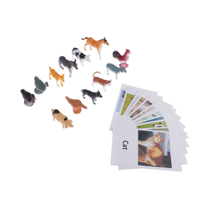 12 حزم مونتيسوري التعلم طير الدواجن الحيوان نموذج مع مطابقة بطاقات هدية