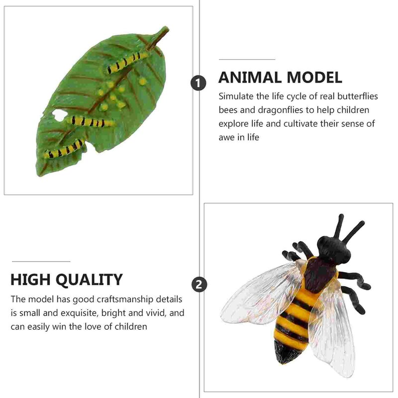 3 مجموعات الحيوان دورة الحياة نموذج الفراشات النحل اليعسوب زخرفة (نمط عشوائي)
