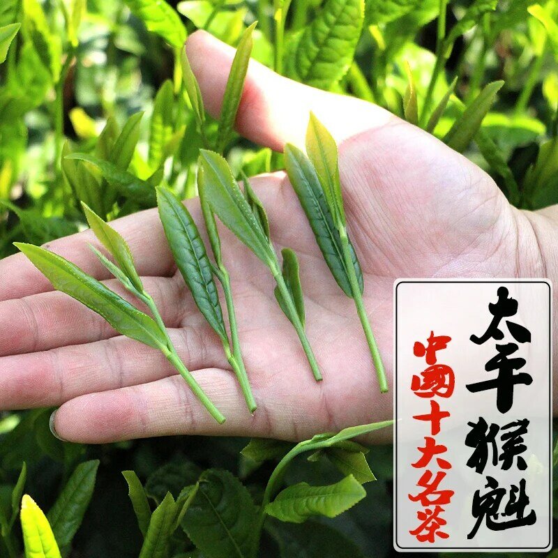 شاي أخضر جديد في الربيع ، شاي ألبينز ، قرد كوي ، تخصص هوانغشان ، محافظة أنهوي ، 250 جرام ، 500 جرام