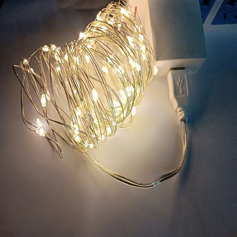 1 قطعة 2M 20Led 3M 30Led البسيطة Led أسلاك النحاس سلسلة الجنية أضواء LED لعيد الميلاد الزفاف حزب الديكور USB Powerd