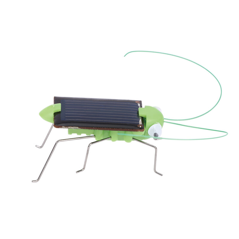 حشرة كريكيت صغيرة تعمل بالطاقة الشمسية للأطفال ، لعبة تعليمية ، هدية