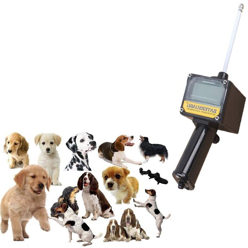 BATERSUARG-كاشف إباضة الكلاب ، جهاز اختبار لتخطيط الحمل ، جهاز كشف تربية الكلاب ، التزامن
