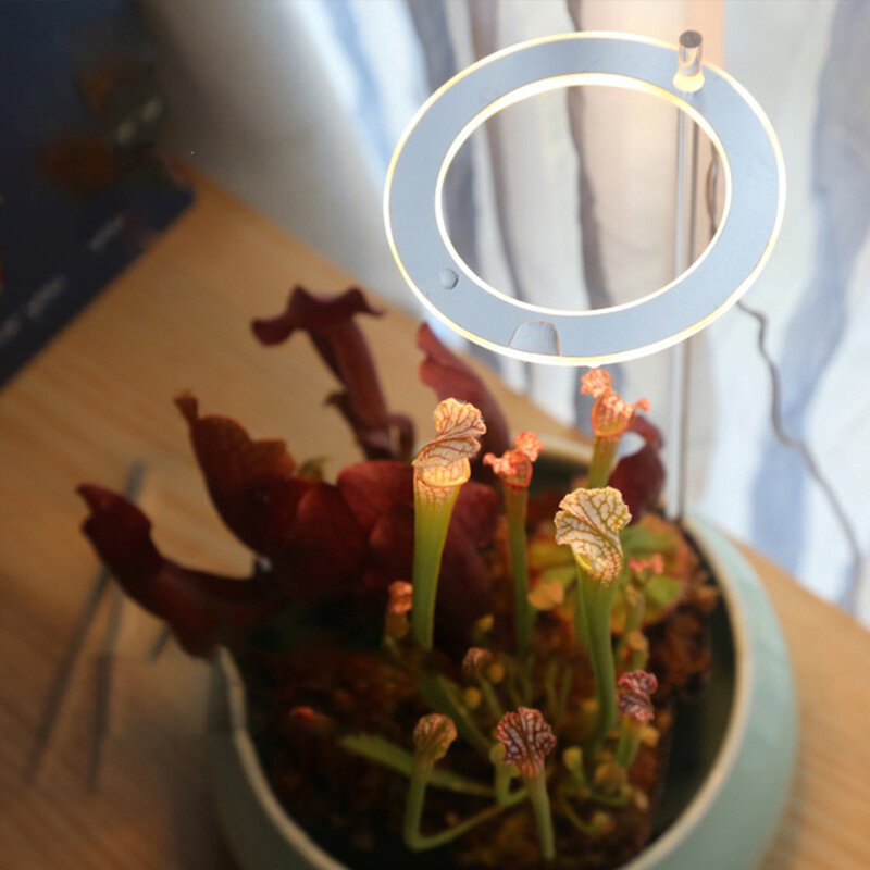 المنزل زهرة Succulet النمو LED تنمو ضوء النباتات الزهور تنمو صندوق الطيف الكامل phytolamp سطح المكتب مصباح