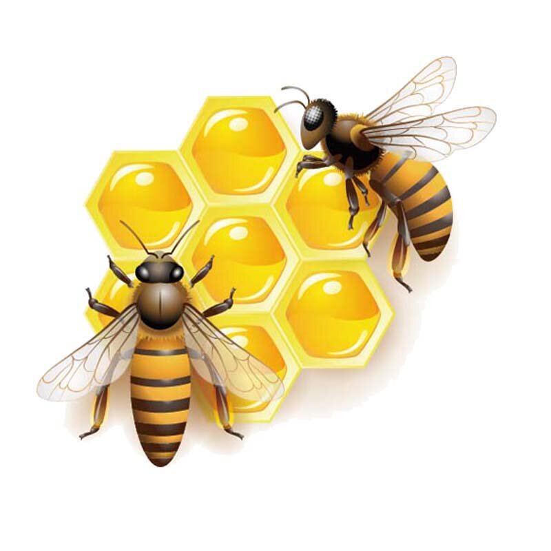 مثيرة للاهتمام الكرتون النحل سيارة ملصقا أن أكل العسل ملصق مائي الزجاج الأمامي الوفير مائي عالية الجودة KK الفينيل غطاء الخدوش البلاستيكية