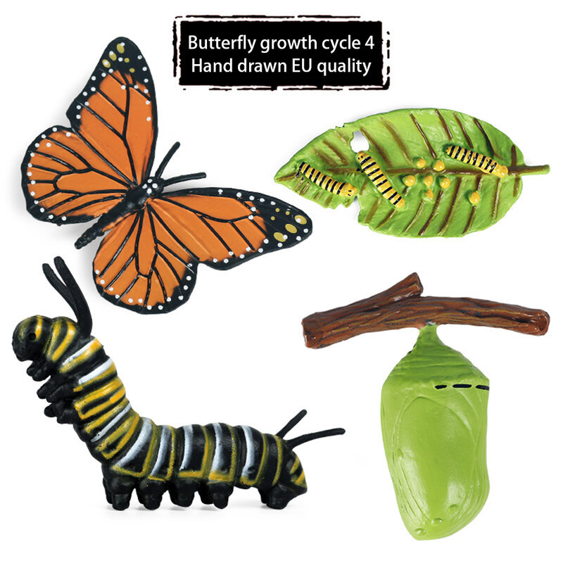 4 قطعة نابض بالحياة الحشرات تمثال الحيوان دورة الحياة لعبة تعليمية للأطفال نموذج النمو الصغار مرحلة ما قبل المدرسة فراشة داخل الدودة