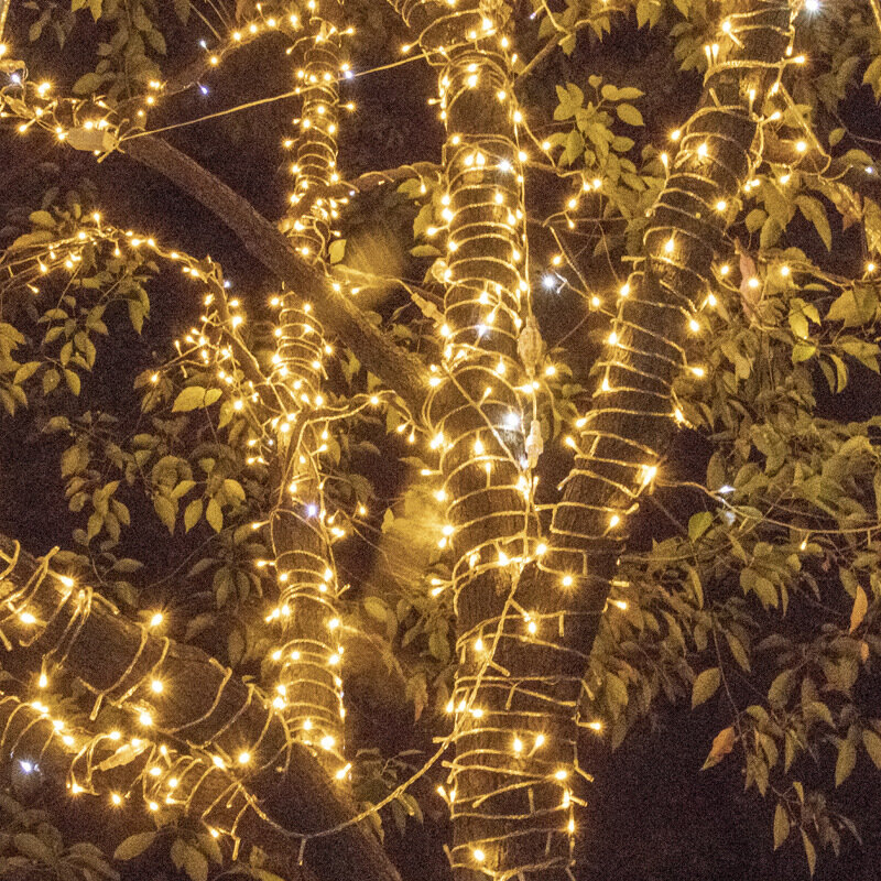 1.5 متر Led الجنية أضواء مصباح ليد سلسلة حفل زفاف الديكور الجنية عطلة الإضاءة نافيداد ديكور سلسلة أضواء 10 المصابيح