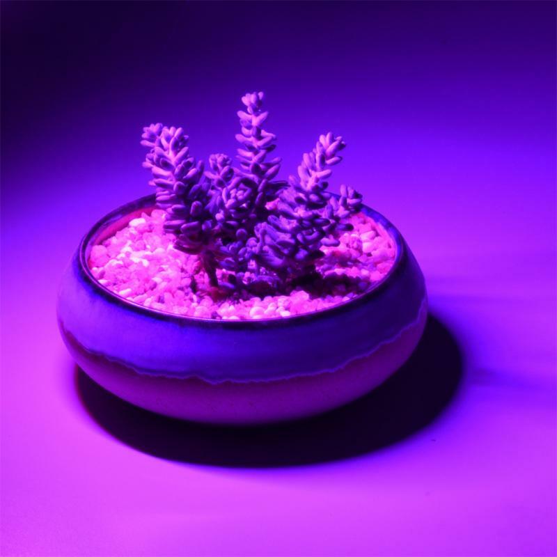 مصباح فيتو USB بمصباح LED للنمو 5 فولت 2.5 وات الطيف الكامل Fitolamp مع جهاز تحكم Phytolamp لشتلات النباتات خيمة منزلية بالزهور