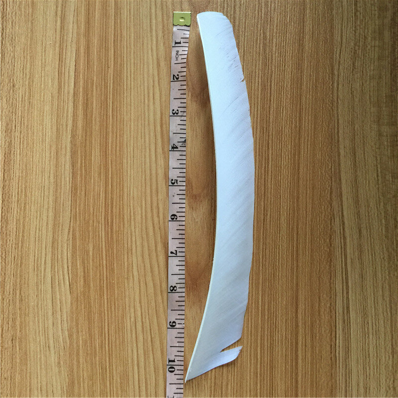 ريش ديك رومي أبيض كامل الطول ، 50 قطعة ، للرماية ، الصيد ، الرماية ، السهم ، القفز ، القائمة الجديدة