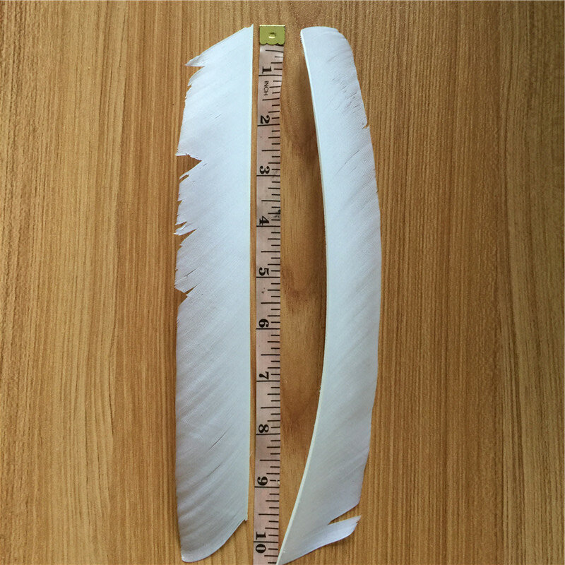 ريش ديك رومي أبيض كامل الطول ، 50 قطعة ، للرماية ، الصيد ، الرماية ، السهم ، القفز ، القائمة الجديدة