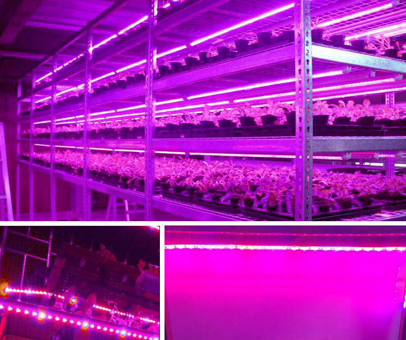 Phytolamp للنباتات 0.5m 1m 2m 3m 2835 SMD DC5V LED فيتو الشريط تنمو ضوء مصباح ل النباتات Phytolamp مجموعة كاملة حلقة ضوء