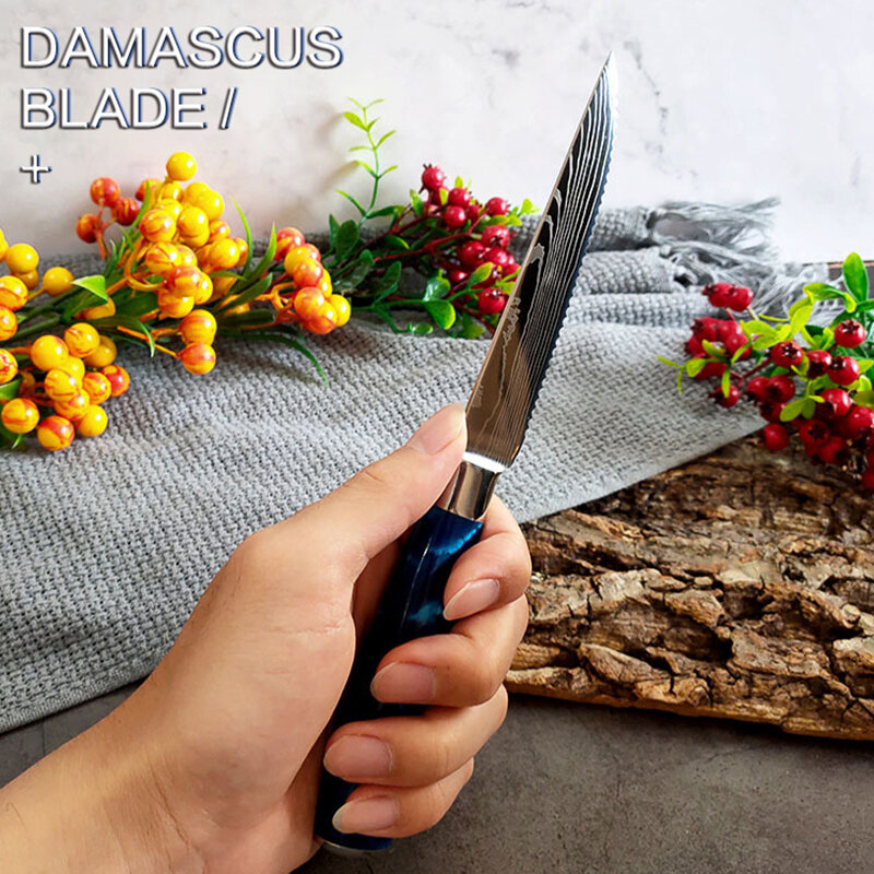 الفولاذ المقاوم للصدأ الغربية سكين لحوم ، دمشق نمط مسننة سكين ، متعددة الوظائف سكين الطاهي ، الراتنج مقبض فندق الجدول سكين