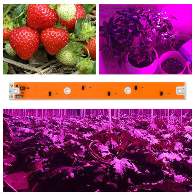 جديد 30/50/80 واط كامل الطيف LED COB رقاقة عالية الكفاءة تنمو مصدر ضوء للداخلية نباتات للحديقة الزراعة المائية تنمو AC110V/220 فولت