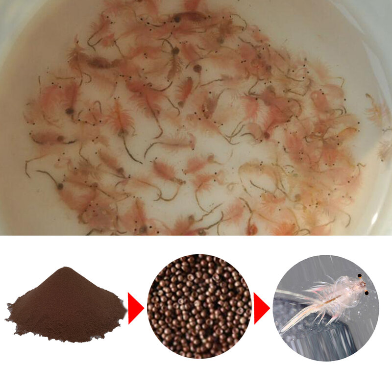 أرتيميا كيسات بيض مالح بيض الروبيان أرتيميا 90% حتى هاتشيابيليتي طعام السمك لتغذية أسماك الطفل الكيس مع قذيفة