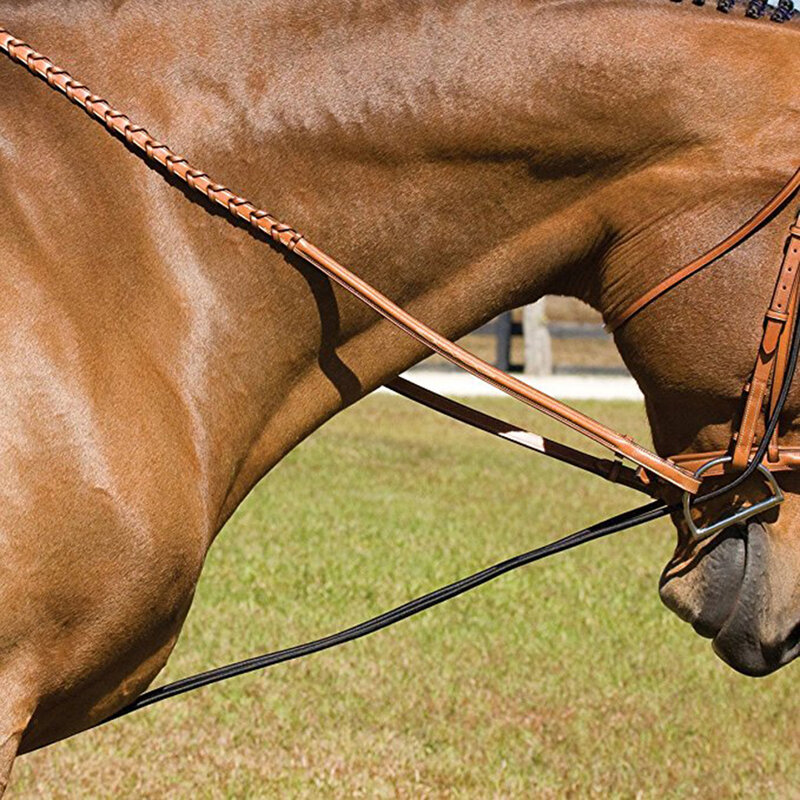 أدوات تدريب الخيول ، ملحقات الركوب ، الطول الإجمالي: حوالي. 300 سنتيمتر