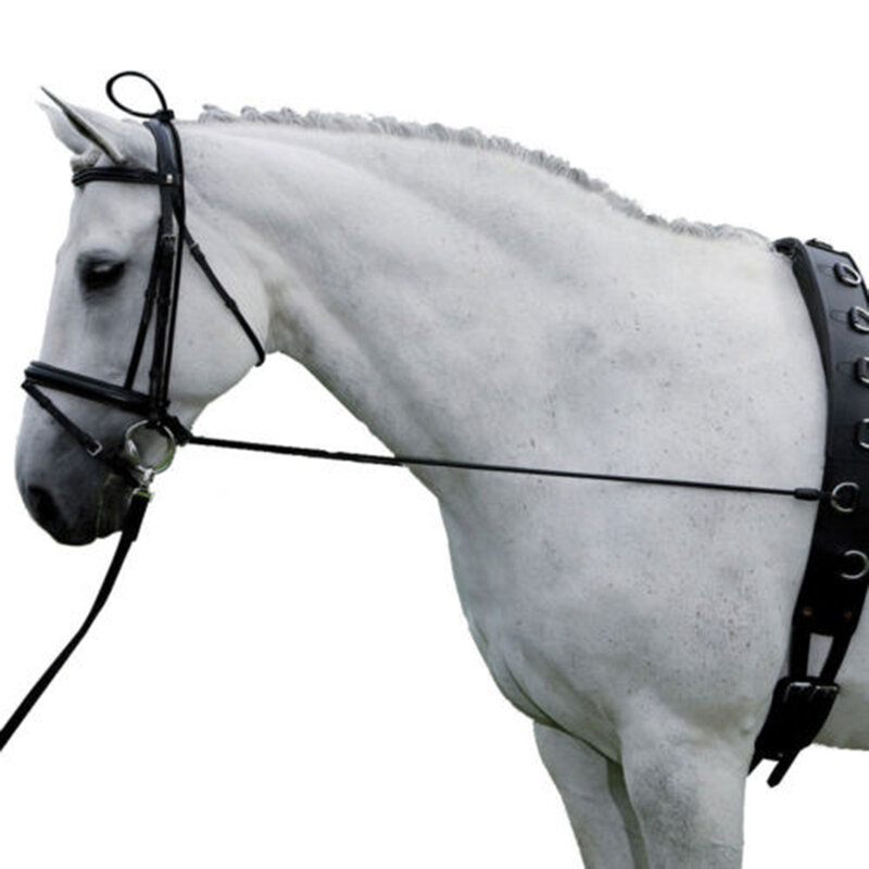 الحصان الأسود الرقبة نقالة مطاطا الحصان رين حزام حبل قابل للتعديل مع إبزيمات بلاستيكية الحصان الفروسية لوازم 10ft
