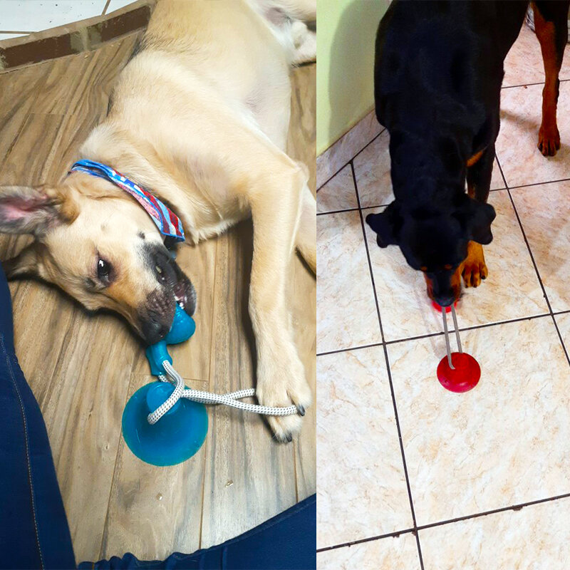 كلب لعب الحيوانات الأليفة جرو التفاعلية شفط كأس دفع TPR العاب كروية لدغة المولي لعبة مطاطا الحبال لون عشوائي