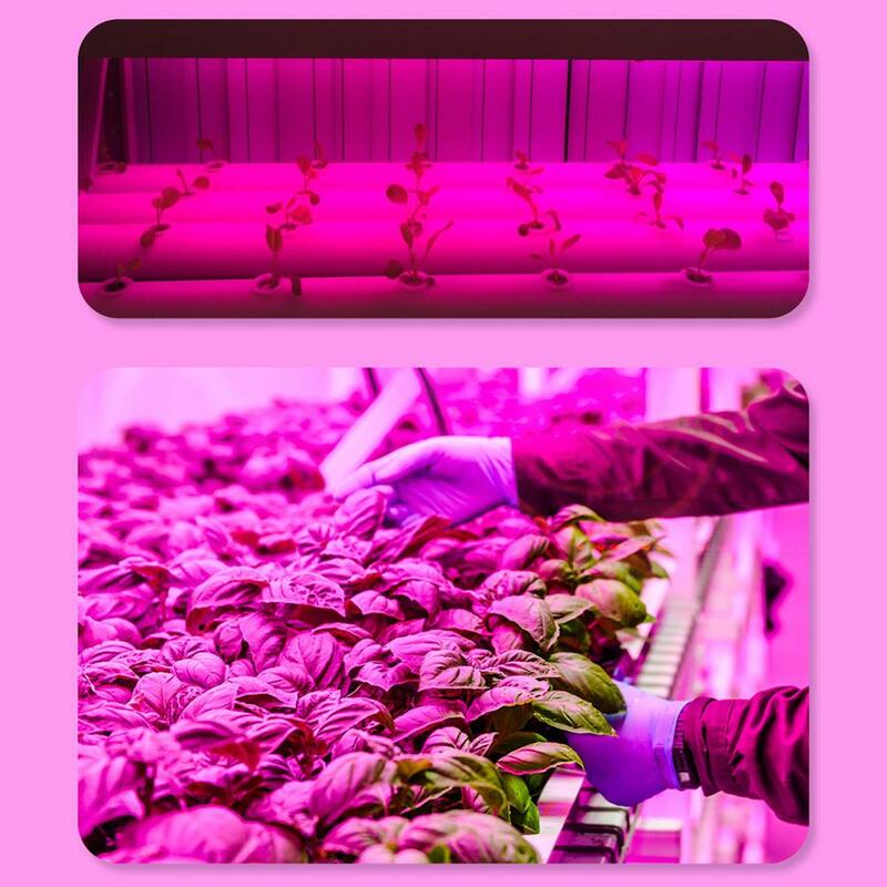 لمبة نمو LED ، E27 ، 9 W ، طيف كامل ، لزراعة النباتات الداخلية ، IP65 مقاوم للماء ، 85-265 فولت ، توصيل مباشر