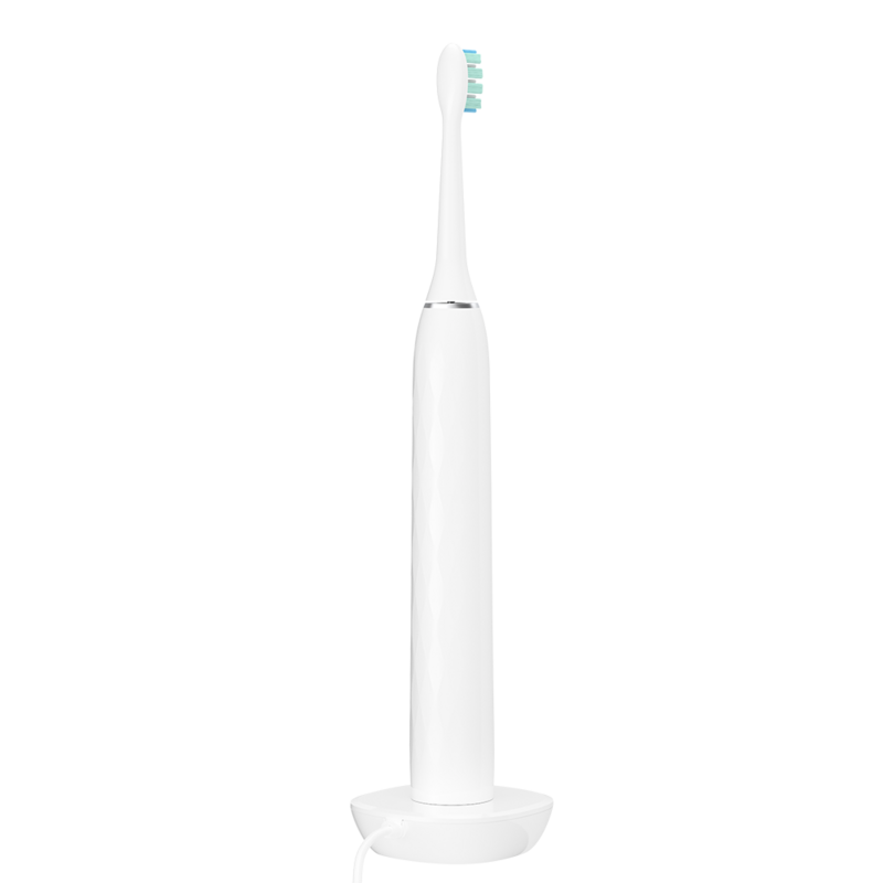 فرشاة الأسنان الكهربائية للكبار Usb شحن فرشاة أسنان سونيك Ipx7 مقاوم للماء Brochas منخفضة الضوضاء الكهربائية الذكية فرشاة الأسنان