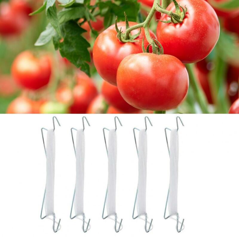 5 قطعة الطماطم دعم السنانير صديقة للبيئة مرنة البلاستيك كفاءة نمو النبات مجتذب للحديقة