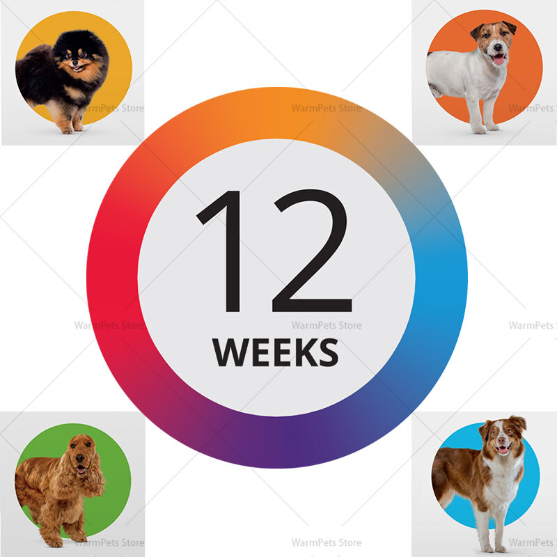 12 أسابيع إبقاء البرغوث والقراد بعيدا BRAV و ECTO للحيوانات الاليفة الكلب للكلاب مستلزمات الحيوانات الأليفة