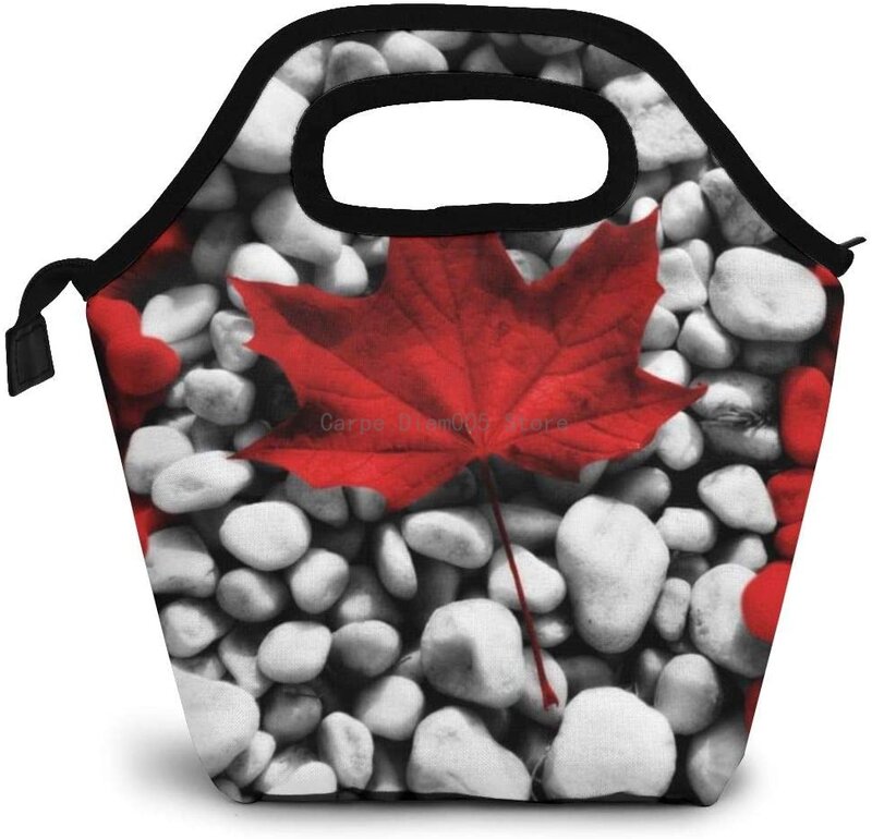 كندا حقيبة حفظ الطعام نزهة مدرسة حمل ، قابلة لإعادة الاستخدام مبرد معزول الجليد Lunchbox حمل حقيبة يد للرجال النساء السيدات الأطفال #1