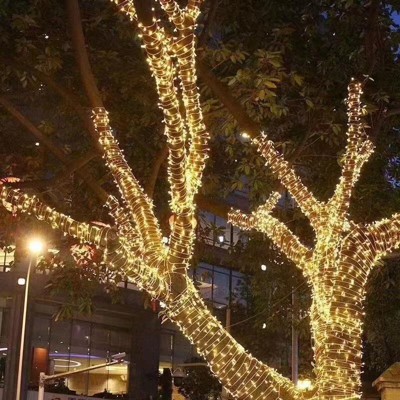 عيد الميلاد LED سلسلة أضواء ، الجنية ضوء جارلاند ، 8 طرق ، حفل زفاف ، عطلة ، 220 فولت ، 110 فولت ، 10 متر ، 20 متر ، 30 متر ، 50 متر ، 100 متر
