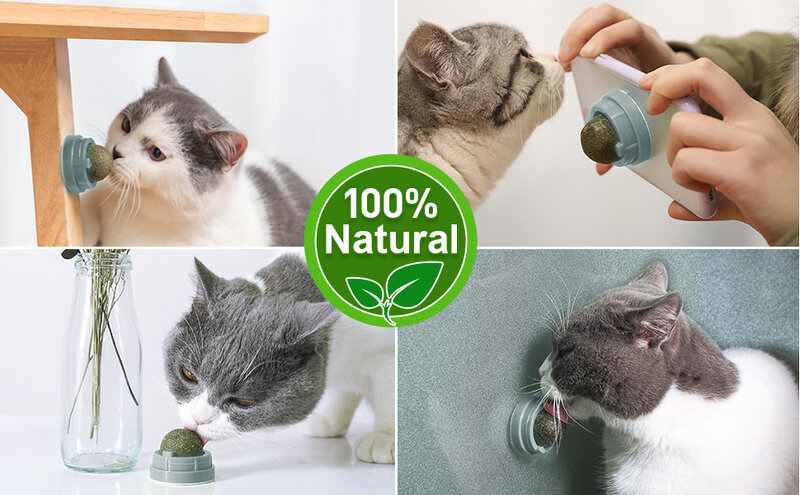 Nutrition Cat Catnip Toys Cat Candy Ball Pet Roducts Cat Toys Chewing Toy Catnip Snack Nutrition Energy Ball Kitten Cat Toy Cat