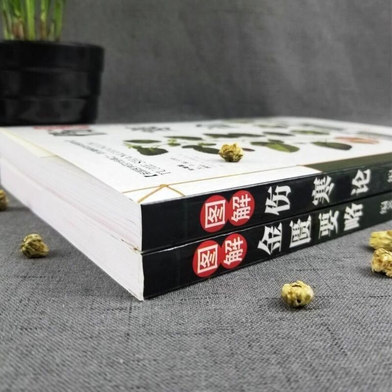 النسخة الأصلية من حمى التيفوئيد تشانغ تشونغ جينغ + مقدمة موجزة من الغرفة الذهبية اثنين TCM السريرية سلسلة Libros #2