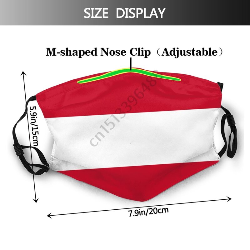 Austria Flag Face Mask With 2PCS Filter Adult Men Women Anti Dust Protection Cover Respirator Reusable Mouth Muffle