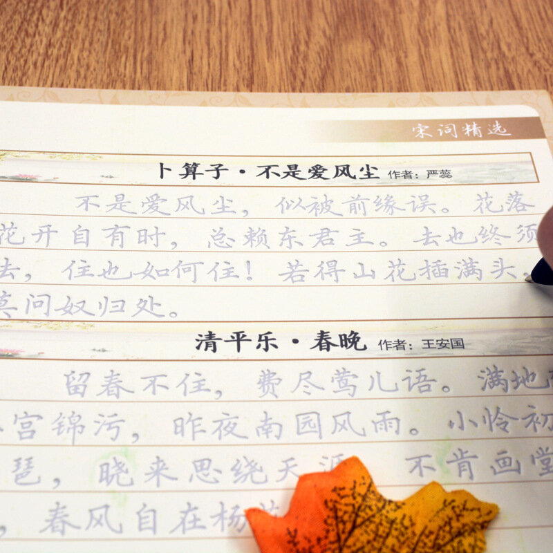 أغنية Ci الأحرف الصينية الخط التأليف والنشر HanZi MiaoHong ثلاثية الأبعاد قابلة لإعادة الاستخدام الأخدود كتاب الكتابة للمبتدئين الأخدود الممارسة