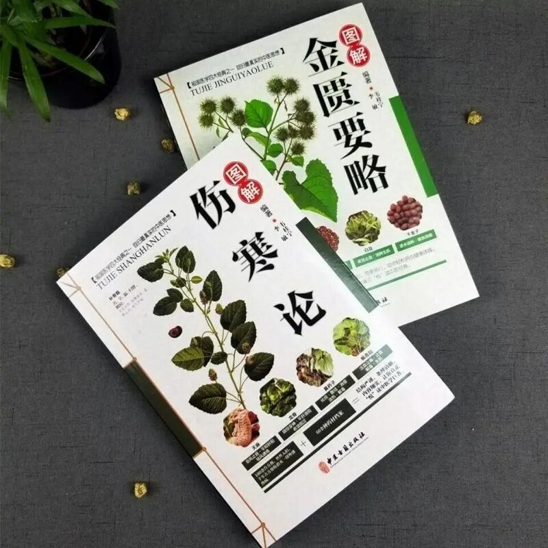 النسخة الأصلية من حمى التيفوئيد تشانغ تشونغ جينغ + مقدمة موجزة من الغرفة الذهبية اثنين TCM السريرية سلسلة Libros