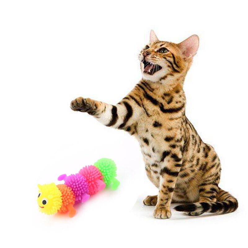 كلب القط لعب لينة المطاط الحيوان على شكل لعبة مضحك متعدد الألوان لعبة للقطط الكلاب الاسترخاء الضغط منتجات الحيوانات الأليفة محظوظ القط