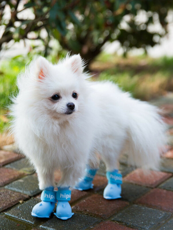 حذاء كلب Ugg الأحذية الكلب أحذية مضادة للماء احذية المطر