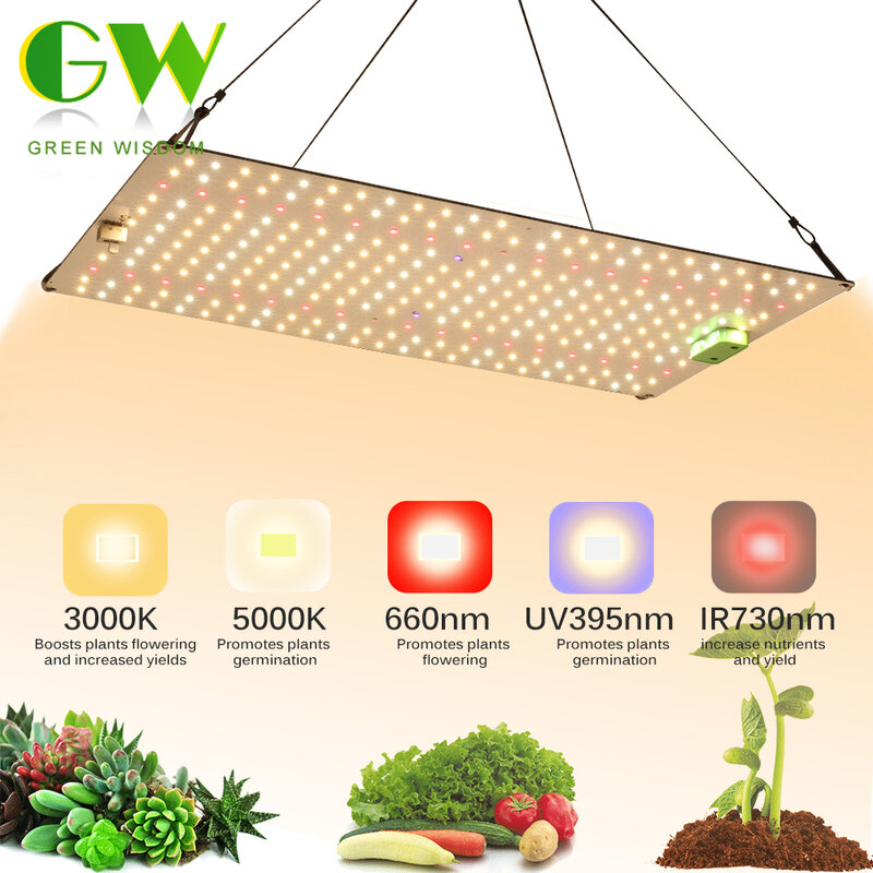 سامسونج الكم LED تنمو ضوء LM281B ديود الطيف الكامل فيتو مصباح للنباتات الداخلية الزهور الدفيئة شتلات النمو ضوء