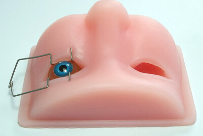 نموذج رأس بشري لجراحة العيون استحلاب الفتحات الجراحة المجهرية الحيوان ممارسة العين التدريس modelfree الشحن